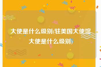 大使是什么级别(驻美国大使馆大使是什么级别)