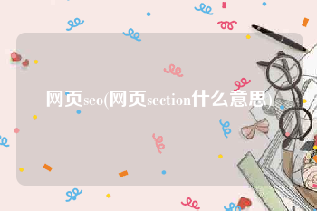 网页seo(网页section什么意思)