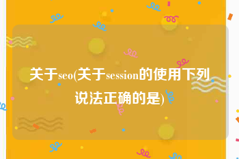关于seo(关于session的使用下列说法正确的是)