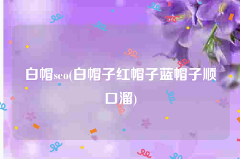 白帽seo(白帽子红帽子蓝帽子顺口溜)