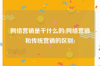 网络营销是干什么的(网络营销和传统营销的区别)
