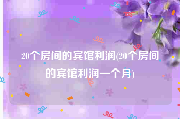 20个房间的宾馆利润(20个房间的宾馆利润一个月)