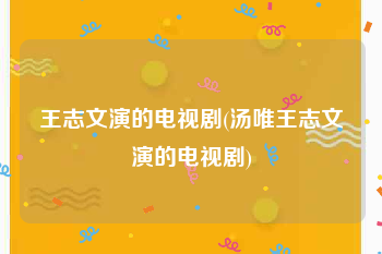 王志文演的电视剧(汤唯王志文演的电视剧)