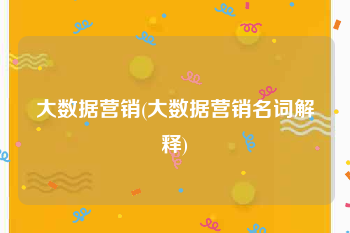 大数据营销(大数据营销名词解释)