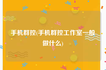手机群控(手机群控工作室一般做什么)