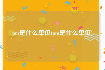 pm是什么单位(pm是什么单位)