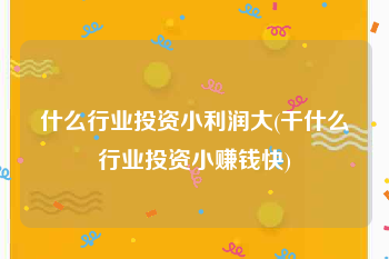 什么行业投资小利润大(干什么行业投资小赚钱快)