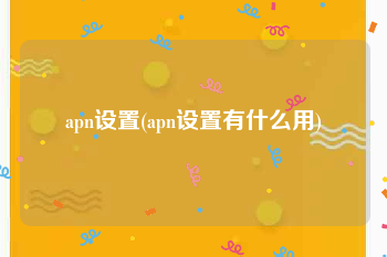 apn设置(apn设置有什么用)