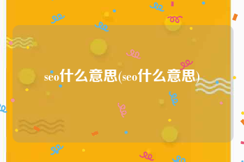 seo什么意思(seo什么意思)