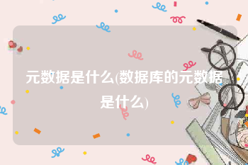 元数据是什么(数据库的元数据是什么)