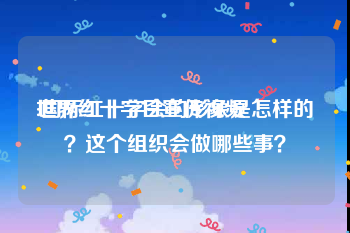 世界红十字日宣传视频
:国际红十字会的形象是怎样的？这个组织会做哪些事？