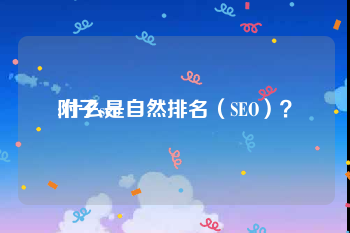 附子seo:什么是自然排名（SEO）？