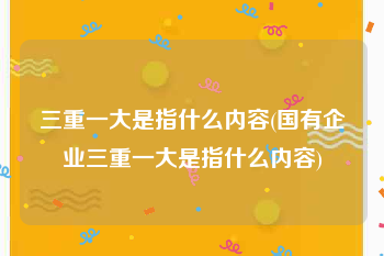 三重一大是指什么内容(国有企业三重一大是指什么内容)