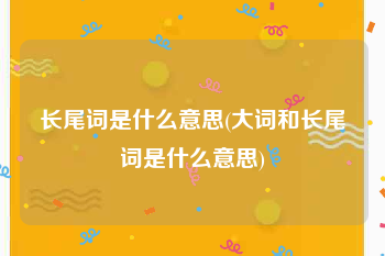 长尾词是什么意思(大词和长尾词是什么意思)