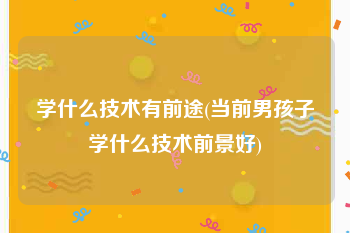 学什么技术有前途(当前男孩子学什么技术前景好)