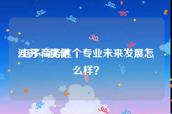 江苏seo优化:电子商务这个专业未来发展怎么样？