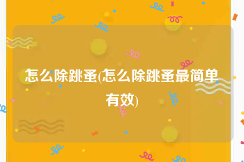 怎么除跳蚤(怎么除跳蚤最简单有效)