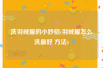 洗羽绒服的小妙招(羽绒服怎么洗最好 方法)