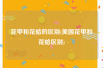 花甲和花蛤的区别(美国花甲和花蛤区别)