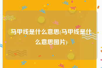 马甲线是什么意思(马甲线是什么意思图片)