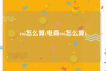 roi怎么算(电商roi怎么算)