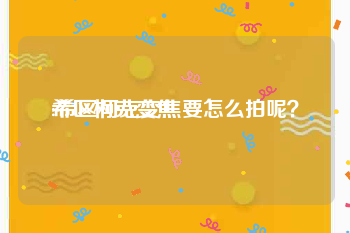 希区柯克变焦
:希区柯克变焦要怎么拍呢？