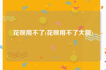 花呗用不了(花呗用不了大额)