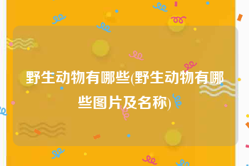 野生动物有哪些(野生动物有哪些图片及名称)