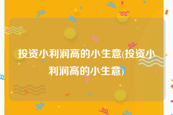 投资小利润高的小生意(投资小利润高的小生意)