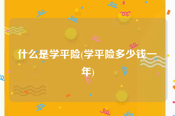 什么是学平险(学平险多少钱一年)