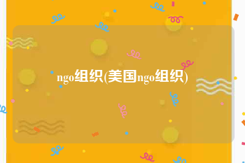 ngo组织(美国ngo组织)