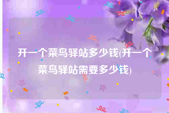 开一个菜鸟驿站多少钱(开一个菜鸟驿站需要多少钱)