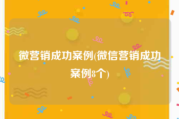 微营销成功案例(微信营销成功案例8个)