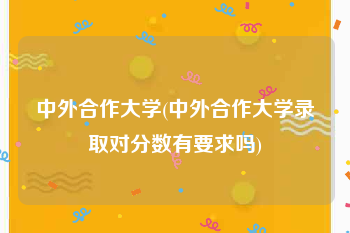 中外合作大学(中外合作大学录取对分数有要求吗)
