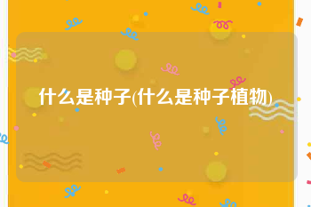 什么是种子(什么是种子植物)