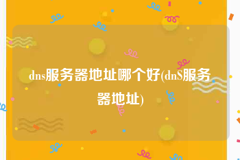 dns服务器地址哪个好(dnS服务器地址)