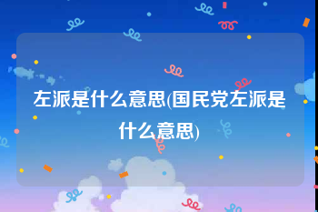 左派是什么意思(国民党左派是什么意思)