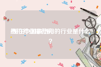 热门行业排行榜
:现在中国最热门的行业是什么?