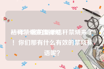 秸秆禁烧宣传视频
:一年一度的夏季秸秆禁烧来了！你们那有什么有效的禁烧标语呢？