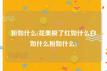 粉如什么(花美极了红如什么白如什么粉如什么)