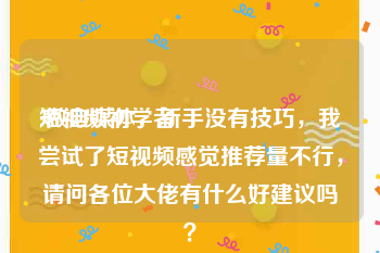 短视频初学者
:做自媒体，新手没有技巧，我尝试了短视频感觉推荐量不行，请问各位大佬有什么好建议吗？