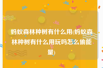 蚂蚁森林种树有什么用(蚂蚁森林种树有什么用玩吗怎么偷能量)