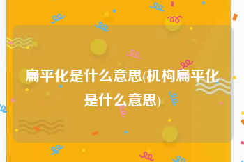 扁平化是什么意思(机构扁平化是什么意思)
