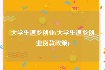 大学生返乡创业(大学生返乡创业贷款政策)