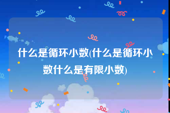 什么是循环小数(什么是循环小数什么是有限小数)
