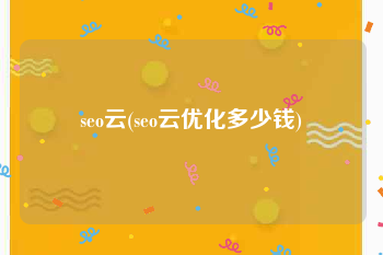 seo云(seo云优化多少钱)