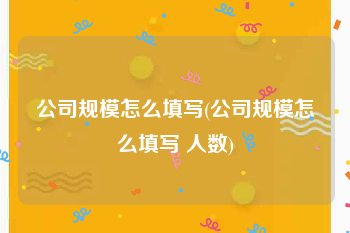 公司规模怎么填写(公司规模怎么填写 人数)