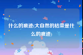 什么的痕迹(大自然的枯荣是什么的痕迹)