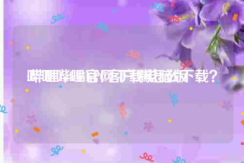 哔哩哔哩官网下载电脑版:哔哩bilibiliPC客户端怎么下载？