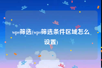 wps筛选(wps筛选条件区域怎么设置)